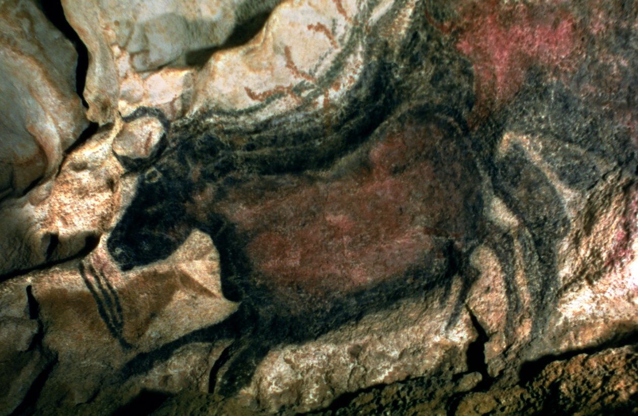 Bergmaleri av en svart okse, ca. 17000 f.Kr. (hulemaleri) av Prehistoric