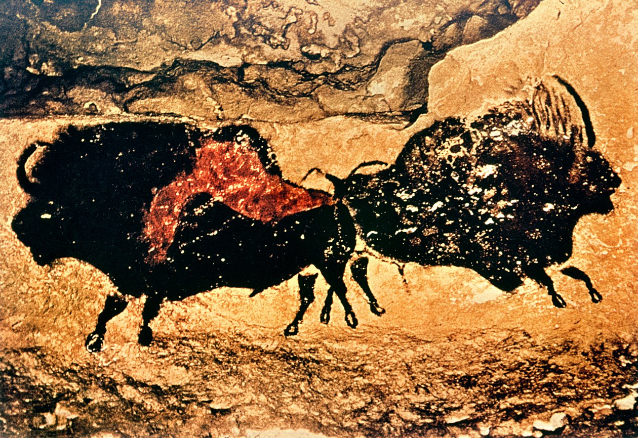Bergmaleri av bison, ca. 17000 f.Kr. (hulemaleri) av Prehistoric