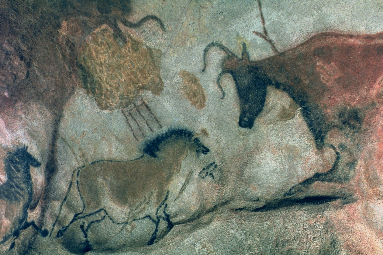 Bergmaleri som viser en hest og en ku, ca. 17000 f.Kr. (hulemaleri) av Prehistoric