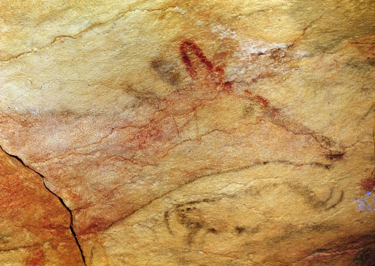 Hjort fra hulene i Altamira, ca. 15 000 f.Kr. (hulemaleri) (detalj av 42412) av Prehistoric
