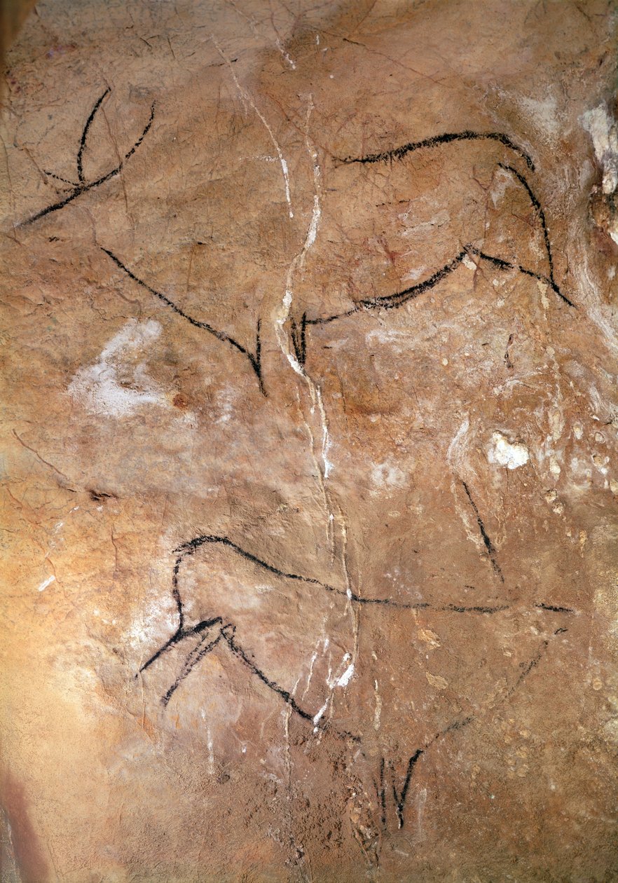 Two Stags, fra hulene i Altamira, ca. 15000 f.Kr. (hulemaleri) av Prehistoric