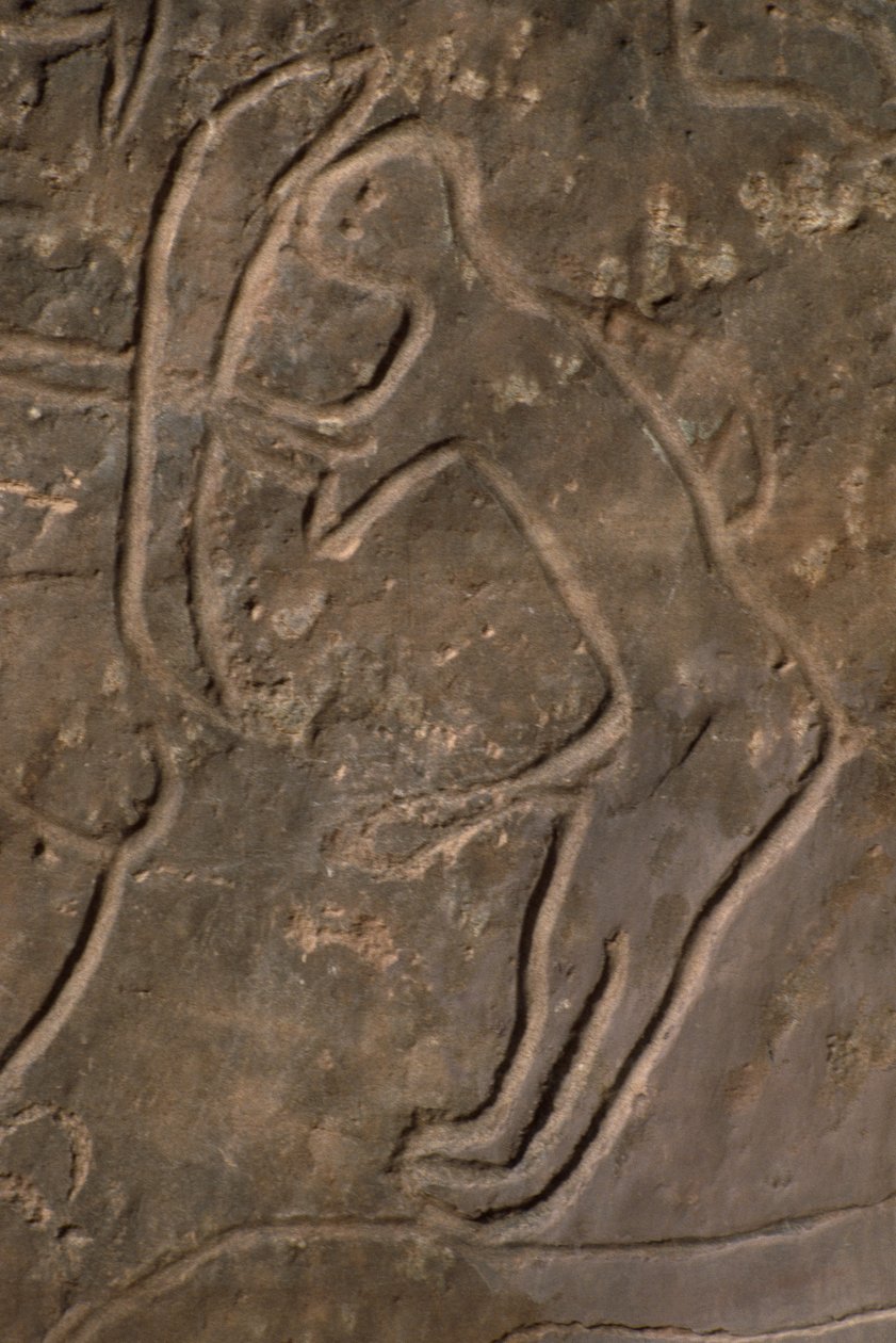 Menneskeskikkelse og oksehode (helleristning) av Prehistoric