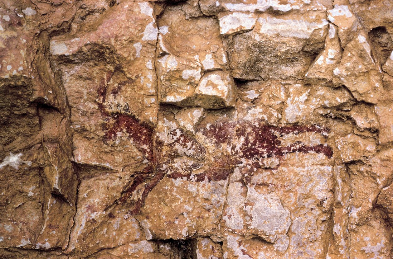 En løpende geit, mesolitisk periode, Spania, Remigia-hulen, Barranco de la Gasulla, Ares del Maestre (maleri) av Prehistoric Prehistoric