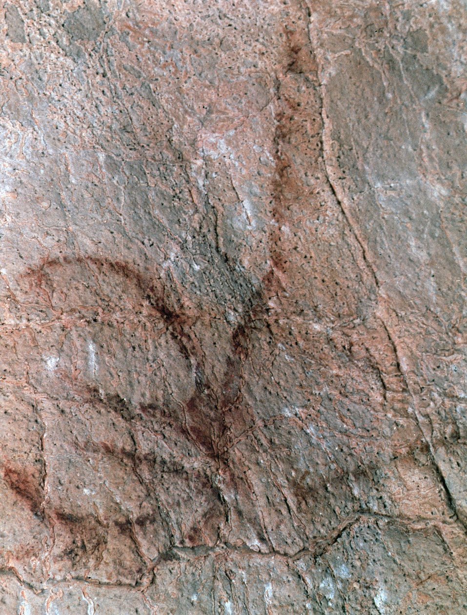  av Prehistoric Prehistoric