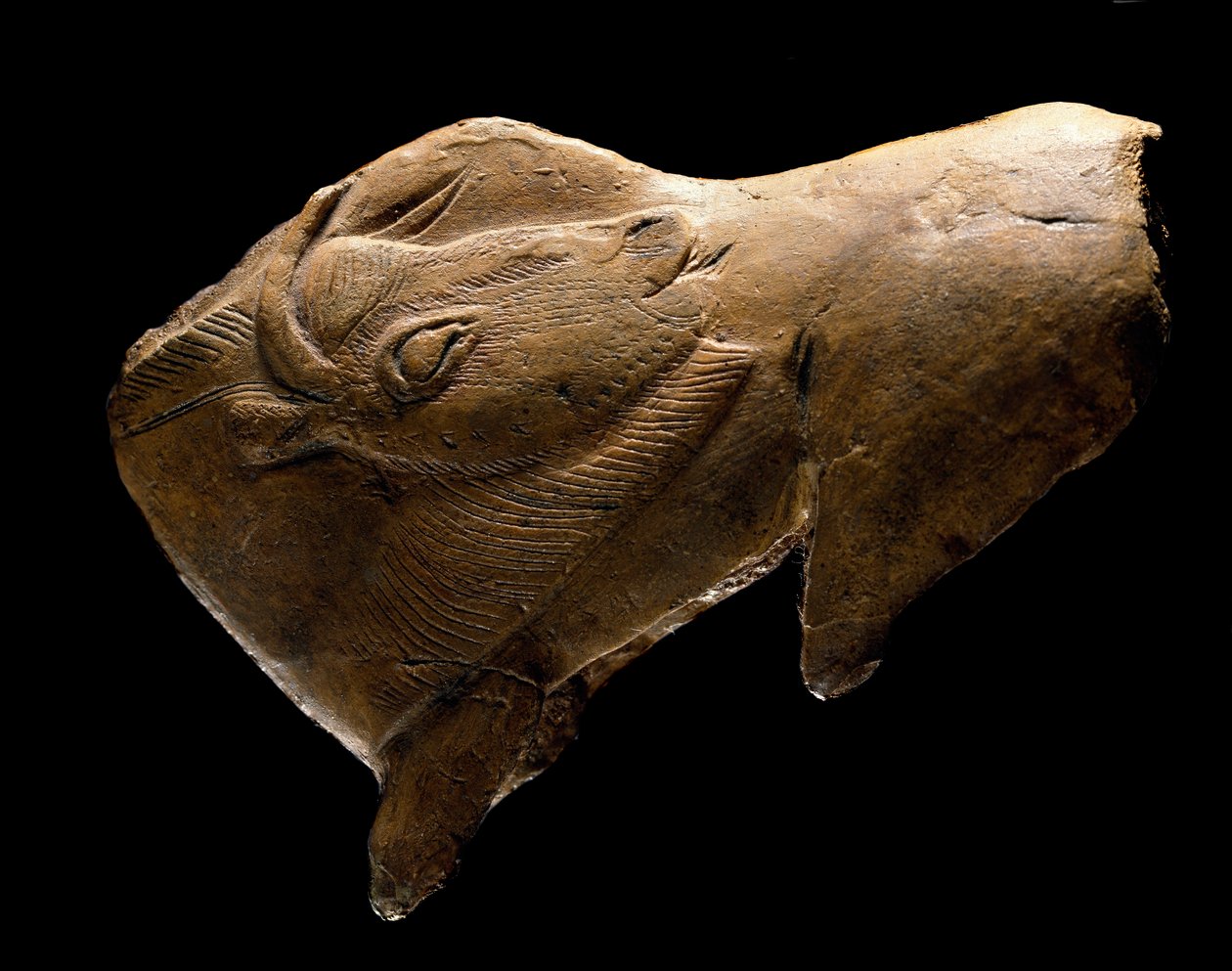 Bison reiser seg (Skulptur i reinsdyrved fra ly av Madeleine i Dordogne. 11000 f.Kr.) av Prehistoric Prehistoric