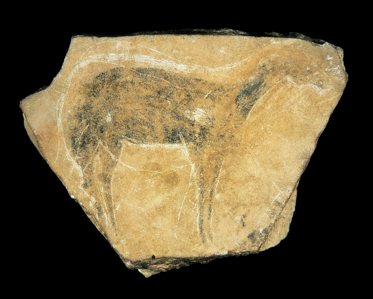 Svart doe, Parpallo-hulen, Spania, øvre paleolittisk (maleri) av Prehistoric Prehistoric