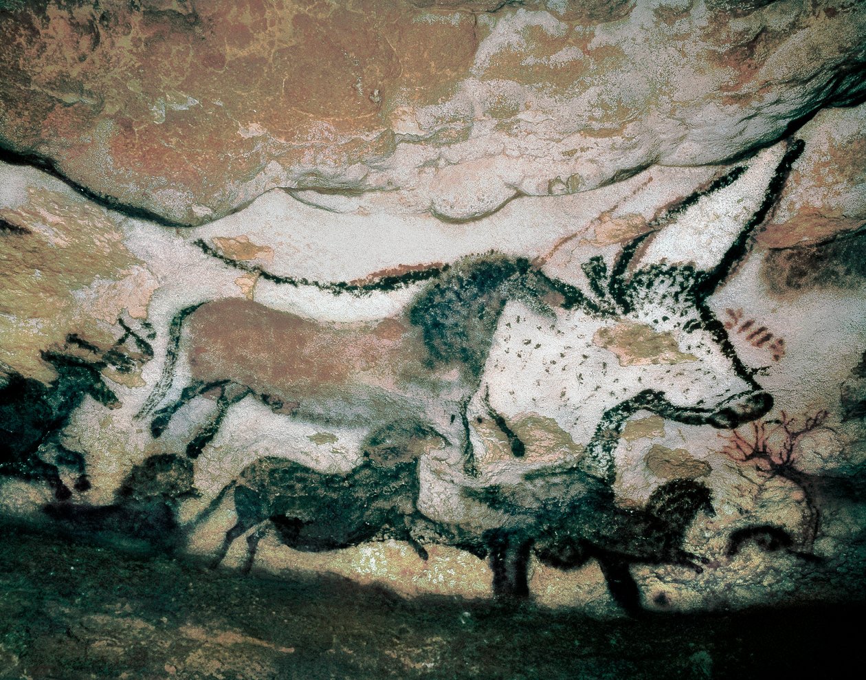 Okse, med hjort og hest, øvre paleolitikum, fra grotten i Lascaux, Frankrike, ca. 17.000-15.000 f.Kr. (maleri) av Prehistoric Prehistoric