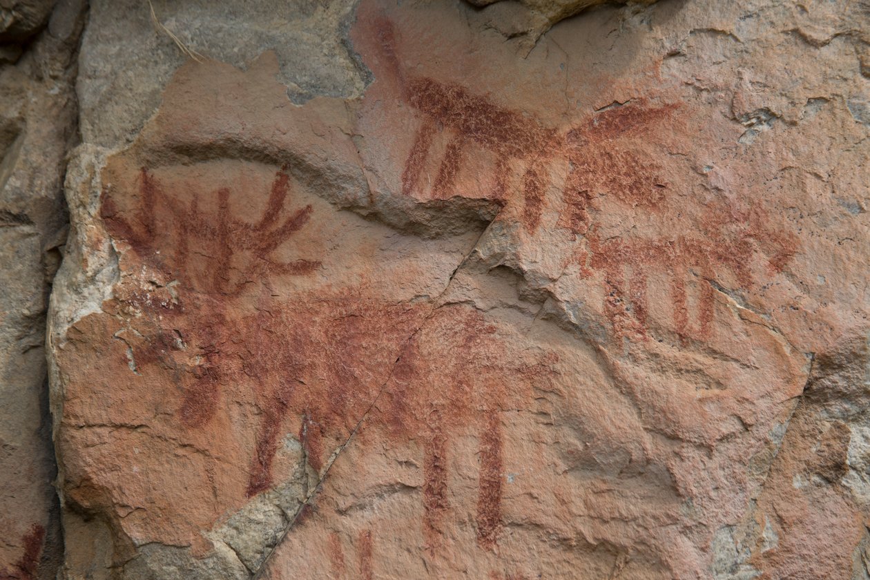 Hulemaleri, Salmon-Challis National Forest (bilde) av Prehistoric Prehistoric