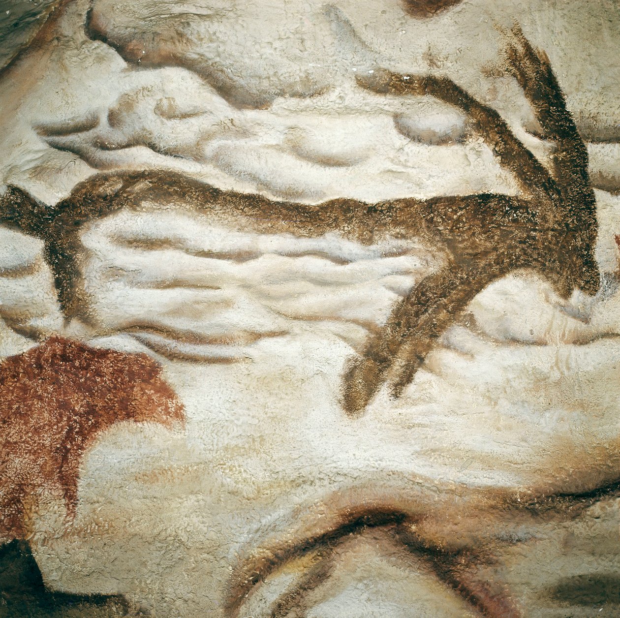 Cervid bergmaleri, Cave de Lascaux, Dordogne, Frankrike, øvre paleolittisk (magdalensk) ca. 13000 år siden (maleri) av Prehistoric Prehistoric