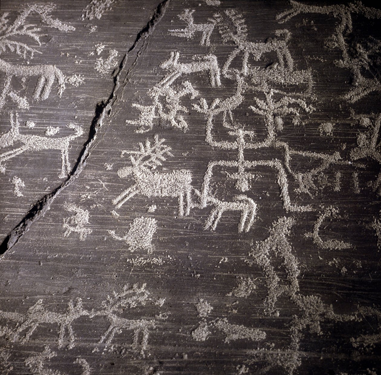 Sivilisasjonen av Camunni, forhistorie, bergkunst: gravstein, detaljer om den store steinen Naquane, i Valcamonica (Val camonica). Museo archeologico de Milan av Prehistoric Prehistoric