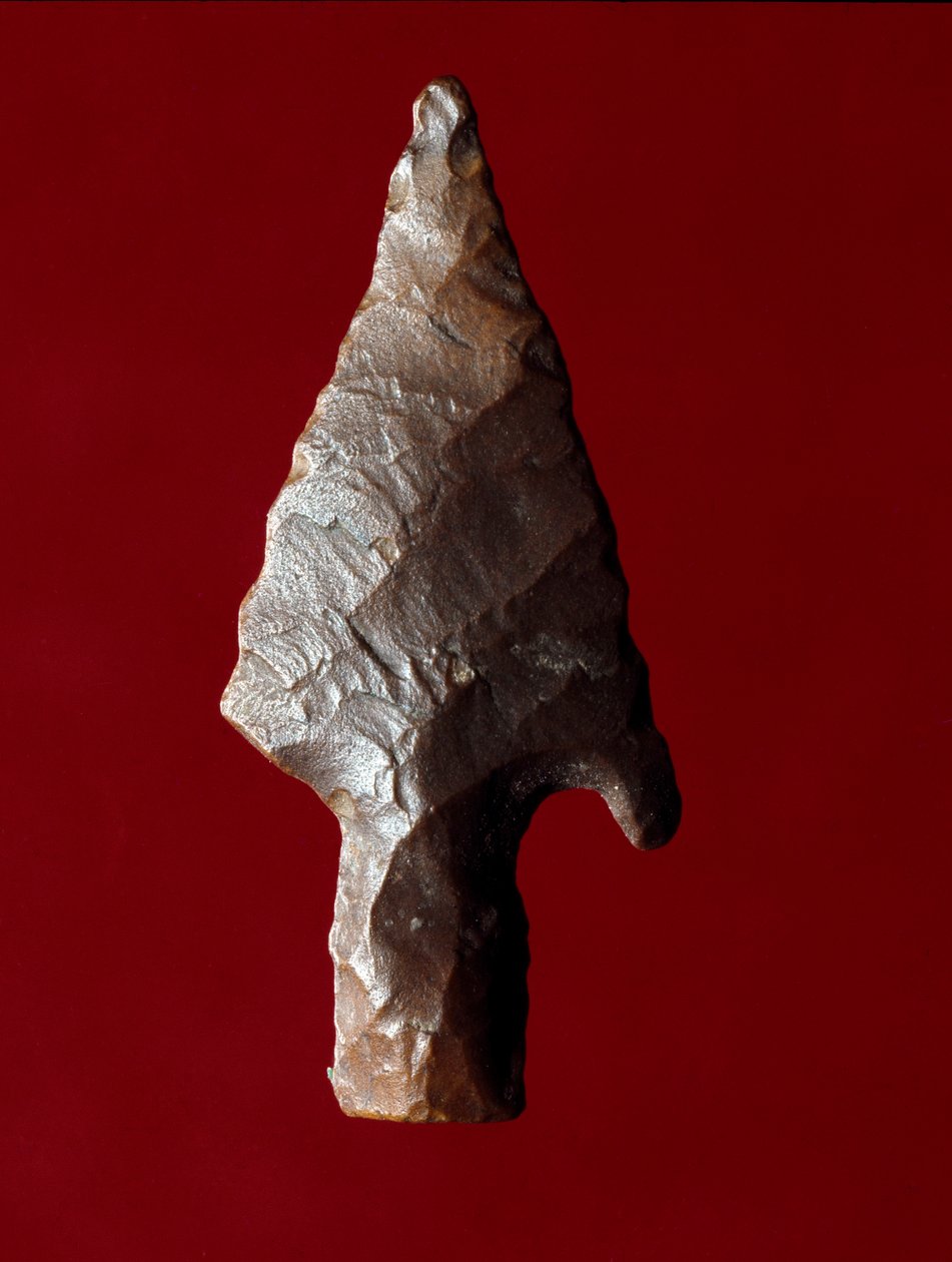 Egyptisk antikvitet: pilspissen fra stedet til Fayoum (Fayyum eller Fayum) i Egypt. Predynastisk periode. Verone, Museo Civico di Storia Naturale, Italia av Prehistoric Prehistoric