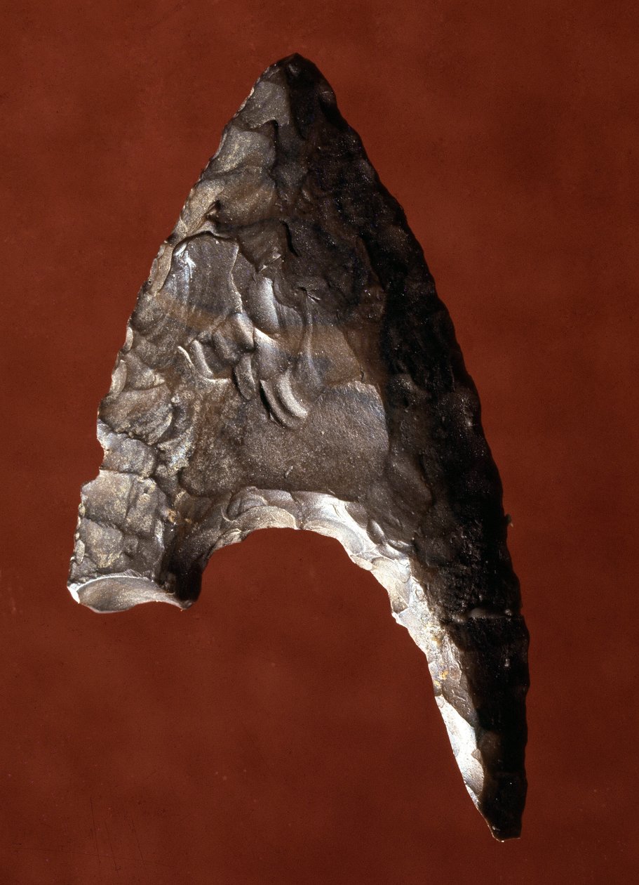 Egyptisk antikvitet: pilspissen fra stedet til Fayoum (Fayyum eller Fayum) i Egypt. Predynastisk periode. Verone, Museo Civico di Storia Naturale, Italia av Prehistoric Prehistoric