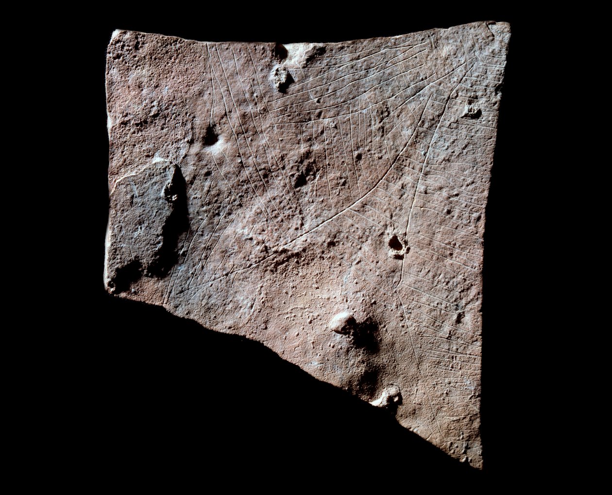 Grafittfragment med bakhode av Prehistoric Prehistoric