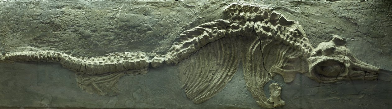  av Prehistoric Prehistoric