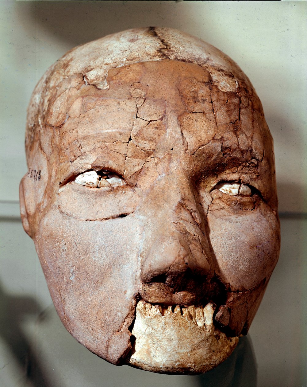 Neolittisk kunst: menneskeskalle fra steinalderen (6000-4000 f.Kr.). Fra Jericho, arkeologisk museum, Amman, Jordan av Prehistoric Prehistoric