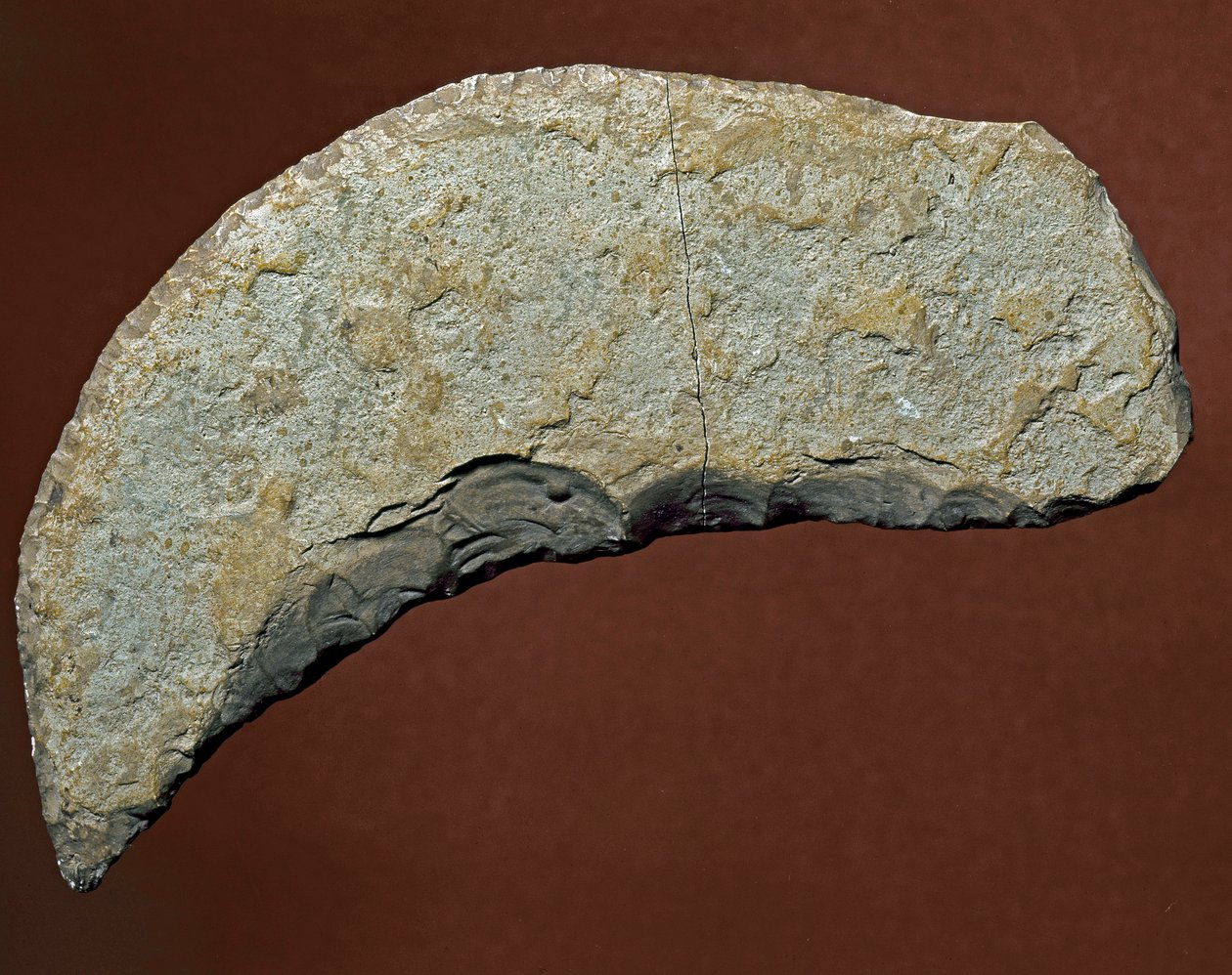Prehistoire: chopper type verktøy for litisk fremstilling av Kjokkenmoddinger, danmark. Paleolittisk. Verone, Museo Civico di Storia Naturale, Italia av Prehistoric Prehistoric