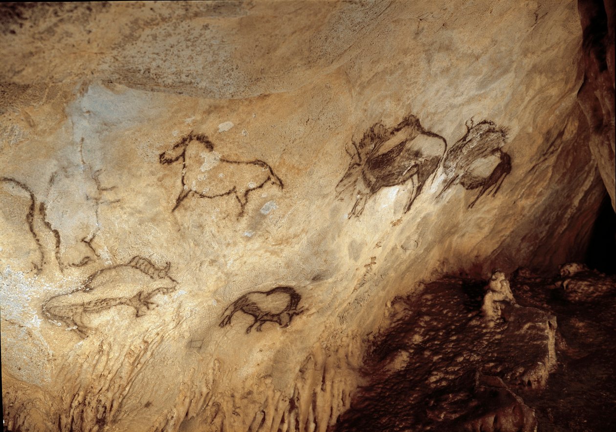 Forhistorie: "" Bison og hester"" Bergmaleri av øvre paleolittisk (magdalensk) (13000 år siden) Santimamine-hulen i steinalderen, Guernica, Spania - Forhistorie: bison og hester - hulemaleri, øvre paleolittisk (magdalensk) (13 000 år si av Prehistoric Prehistoric