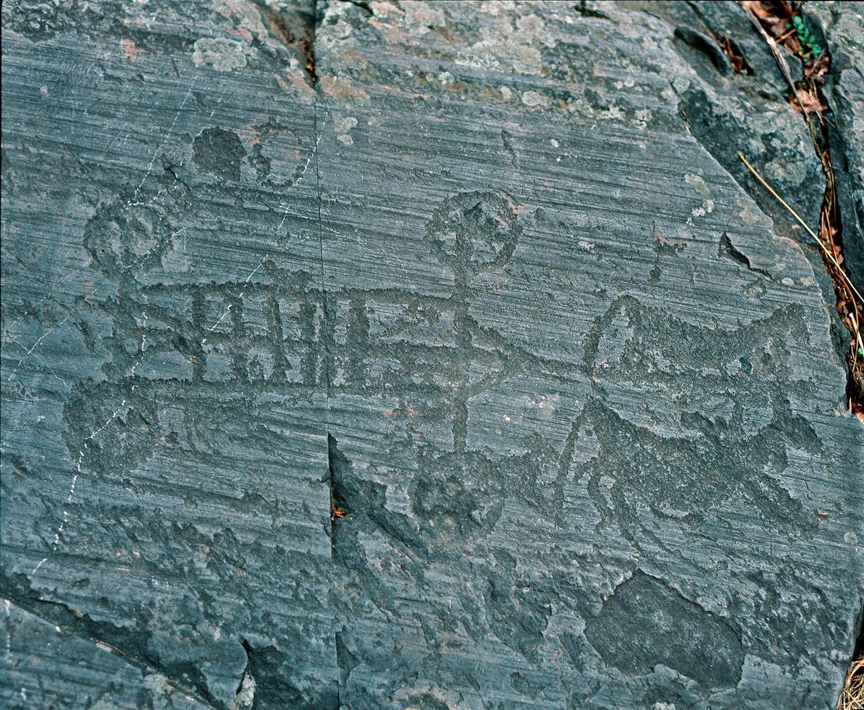 Forhistorie: Camunni sivilisasjon: en vogn avfyrt av hester, hjul er representert med eiker og hester er i profil i et forsøk på å prospektere. Berggravering av stein 23 av Naquane (Valcamonica, Val Camonica, Brescia). Periode mellom neolitikum og bro av Prehistoric Prehistoric