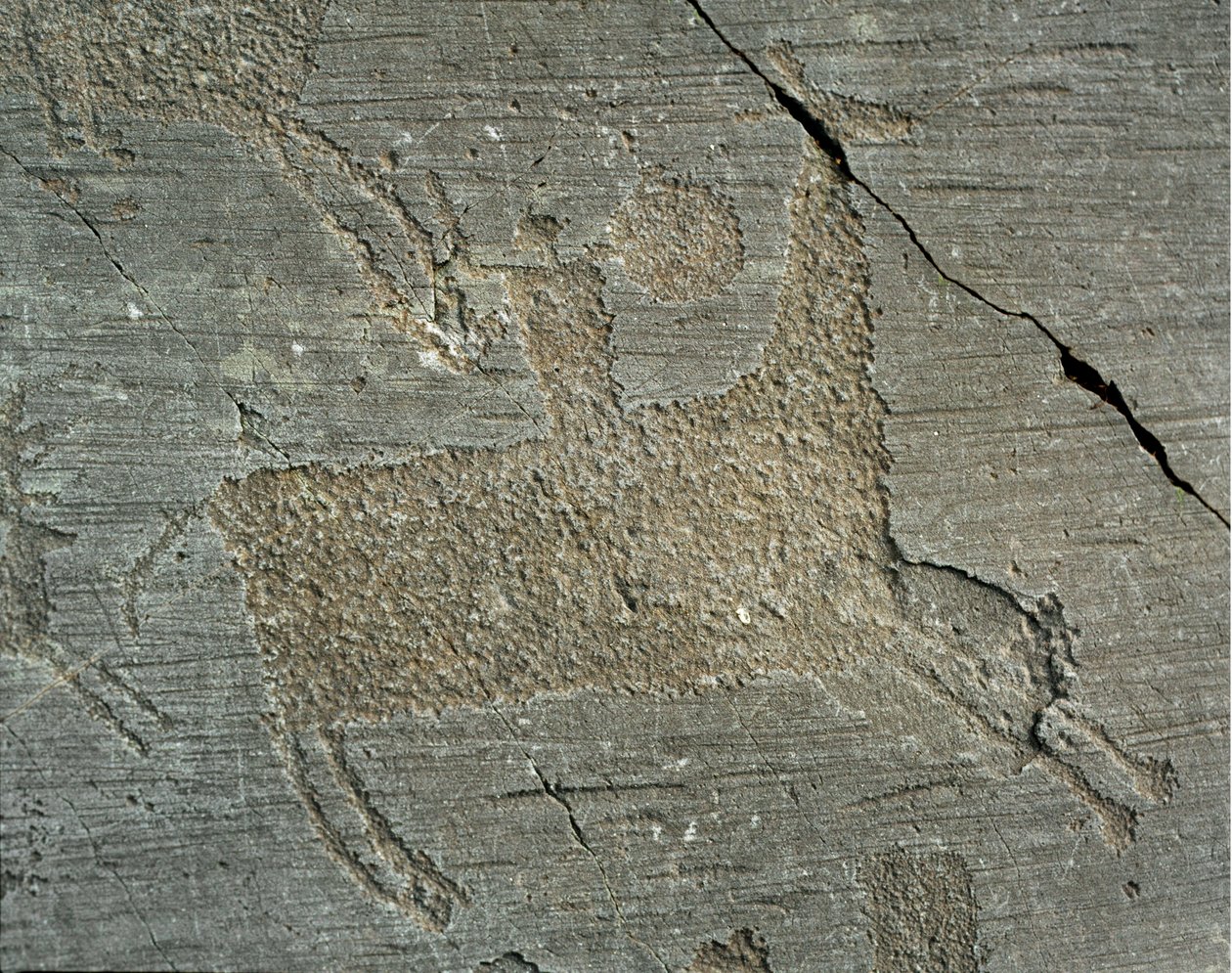 Forhistorie, Camunni-sivilisasjon, bergkunst: gravstein som viser en kriger på hesteryggen med et skjold. Periode mellom yngre steinalder og bronsealder. Capo di Ponte, Naquane helleristninger nasjonalpark, Valcamonica, Val Camonica, Italia av Prehistoric Prehistoric