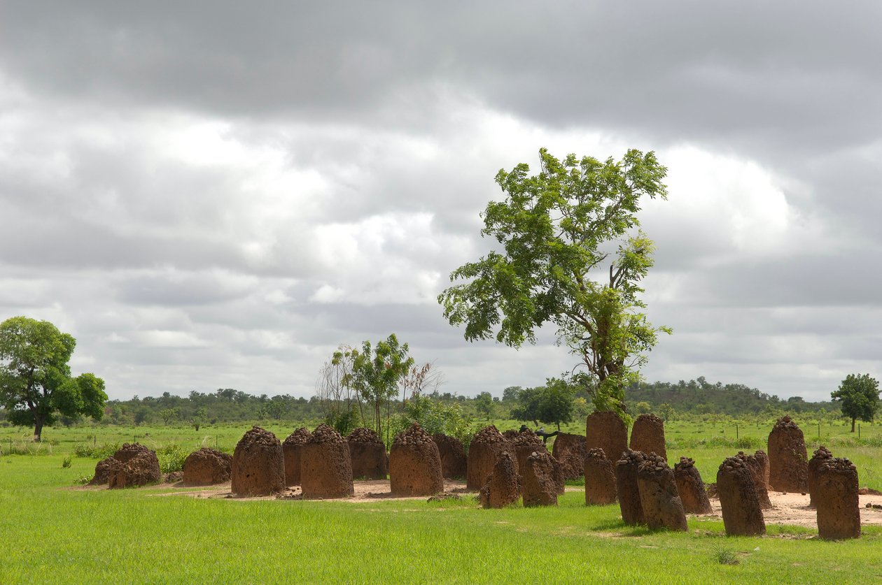 Forhistorie: Megalittisk sirkel av steiner fra Wassu, Gambia (bilde) av Prehistoric Prehistoric