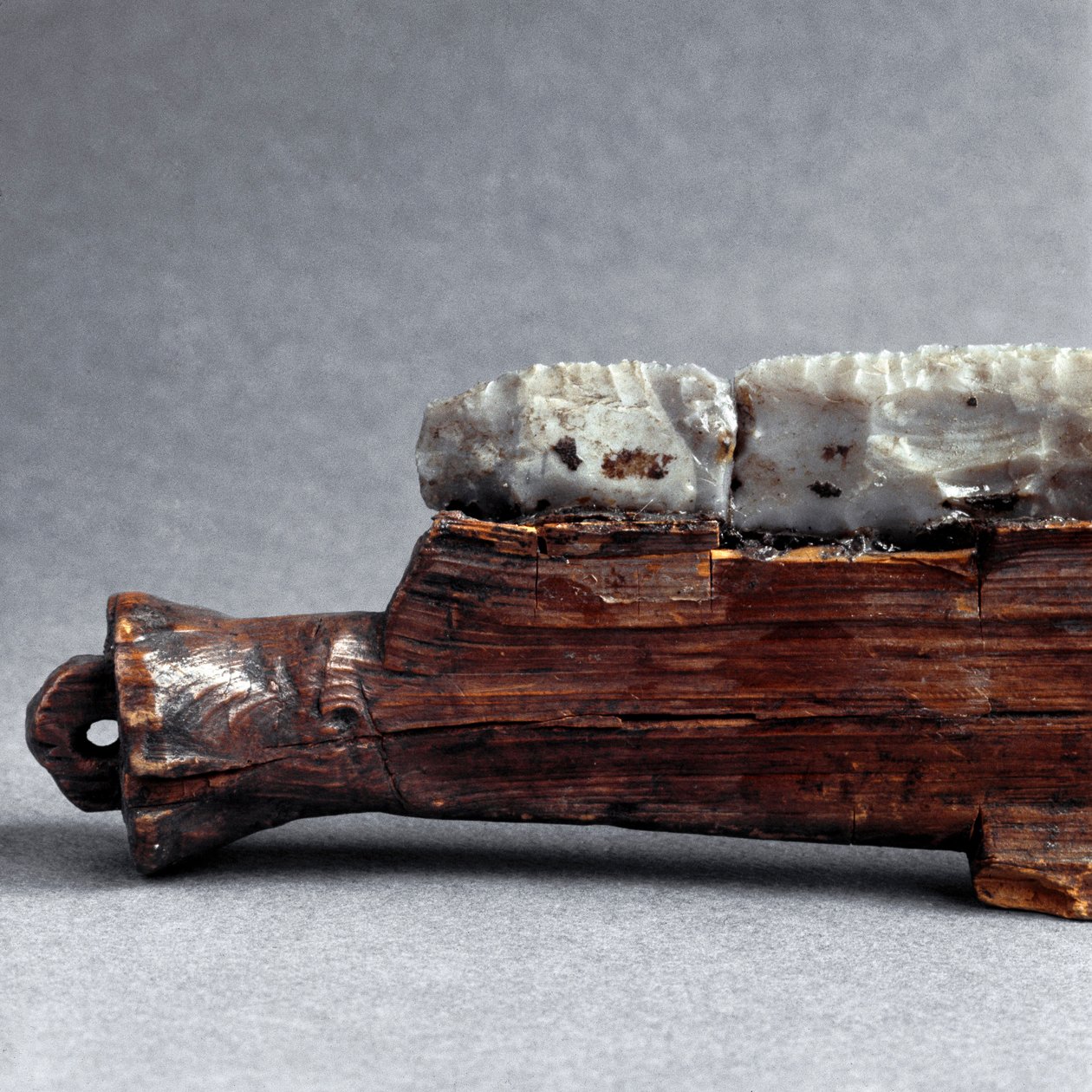 Forhistorie, Polada-kultur: sag fra Polada Tourbiere, Lonato. Bronsealderen. Roma, Luigi Pigorini nasjonalmuseum for forhistorisk etnografi av Prehistoric Prehistoric