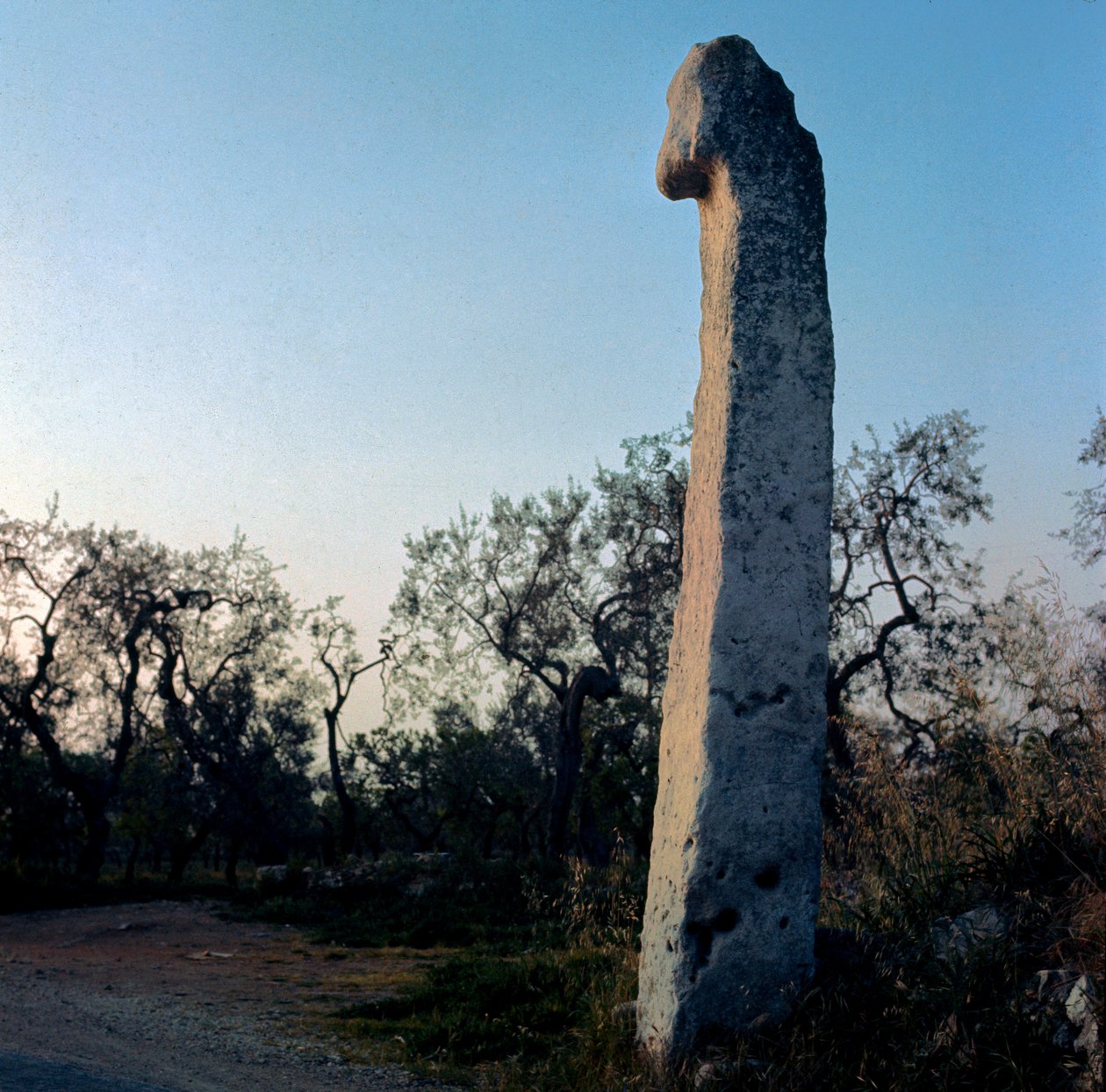Forhistorie: Munken. Menhir fra yngre steinalder (6000-3000 f.Kr.). Peters alder. Steinhøyde 370 cm Modugno, Puglia, provinsen Bari, Italia. av Prehistoric Prehistoric