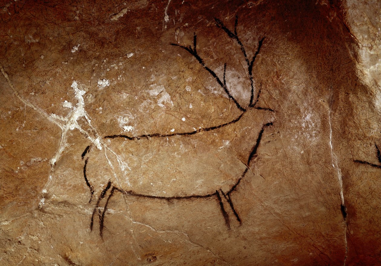 Forhistorie: en hjort. Øvre paleolittisk hulemaleri (magdalensk) (16 500 og 14 000 år siden). Alder av stein. Cave of Las Chimeneas, Monte Castillo, Spania av Prehistoric Prehistoric