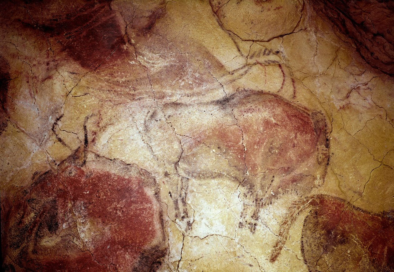 Forhistorie: "" bison i hvile"" bergmaleri av øvre paleolittisk (magdalensk) (mellom 16500 og 14000 år siden) steinalderbisonhule, Altamira, Santander, Spania av Prehistoric Prehistoric