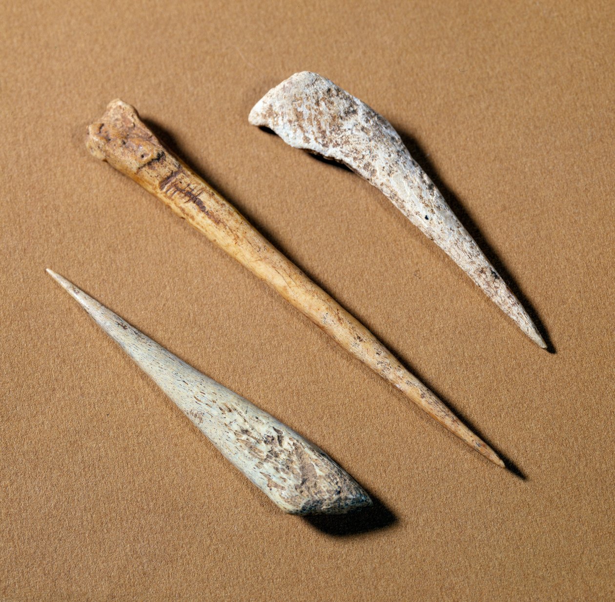 Forhistorie: benabbor fra paleolitikum. Saint-Germain-en-Laye, museum for antikviteter av Prehistoric Prehistoric