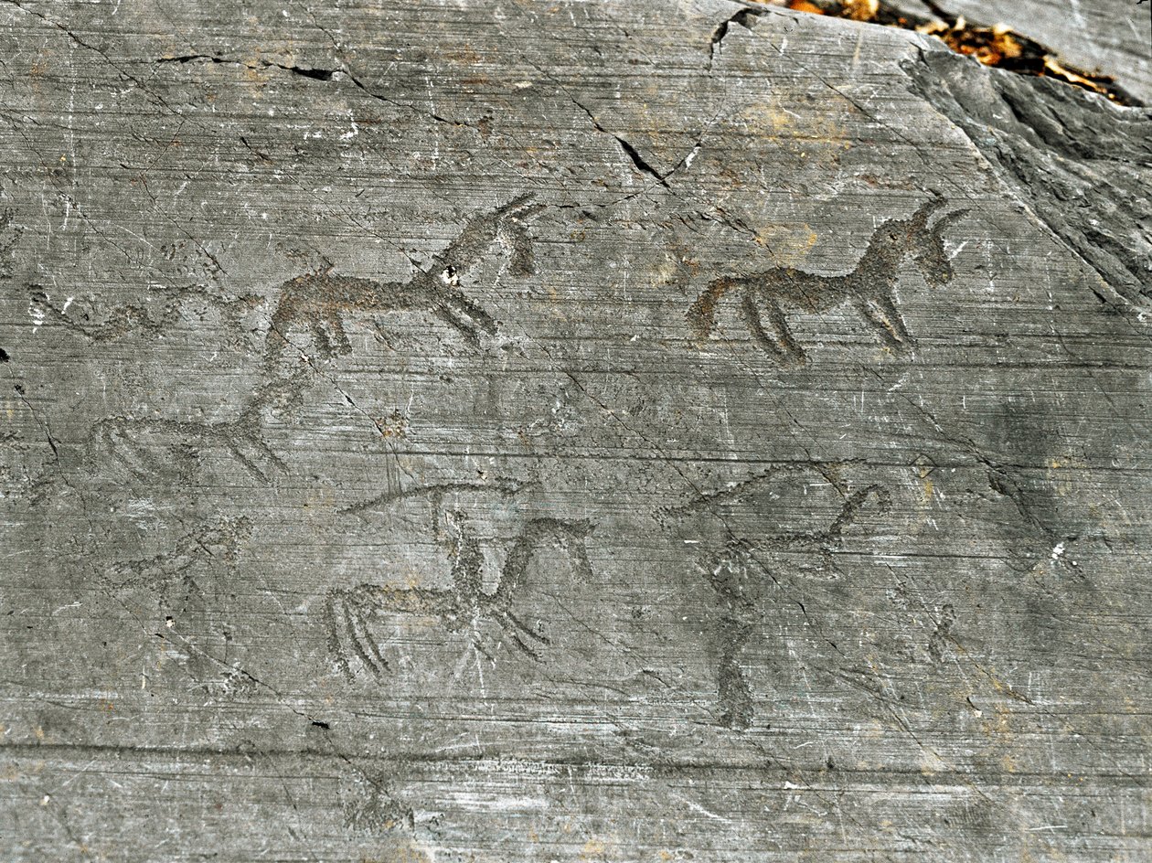 Forhistorie, sivilisasjon av Camunni, bergkunst: en gravstein av en jaktscene, en jeger stikker med et spyd. Periode mellom yngre steinalder og bronsealder. Capo di Ponte, Naquane Rock Engravings nasjonalpark, Valcamonica, Val Camonica, Italia av Prehistoric Prehistoric