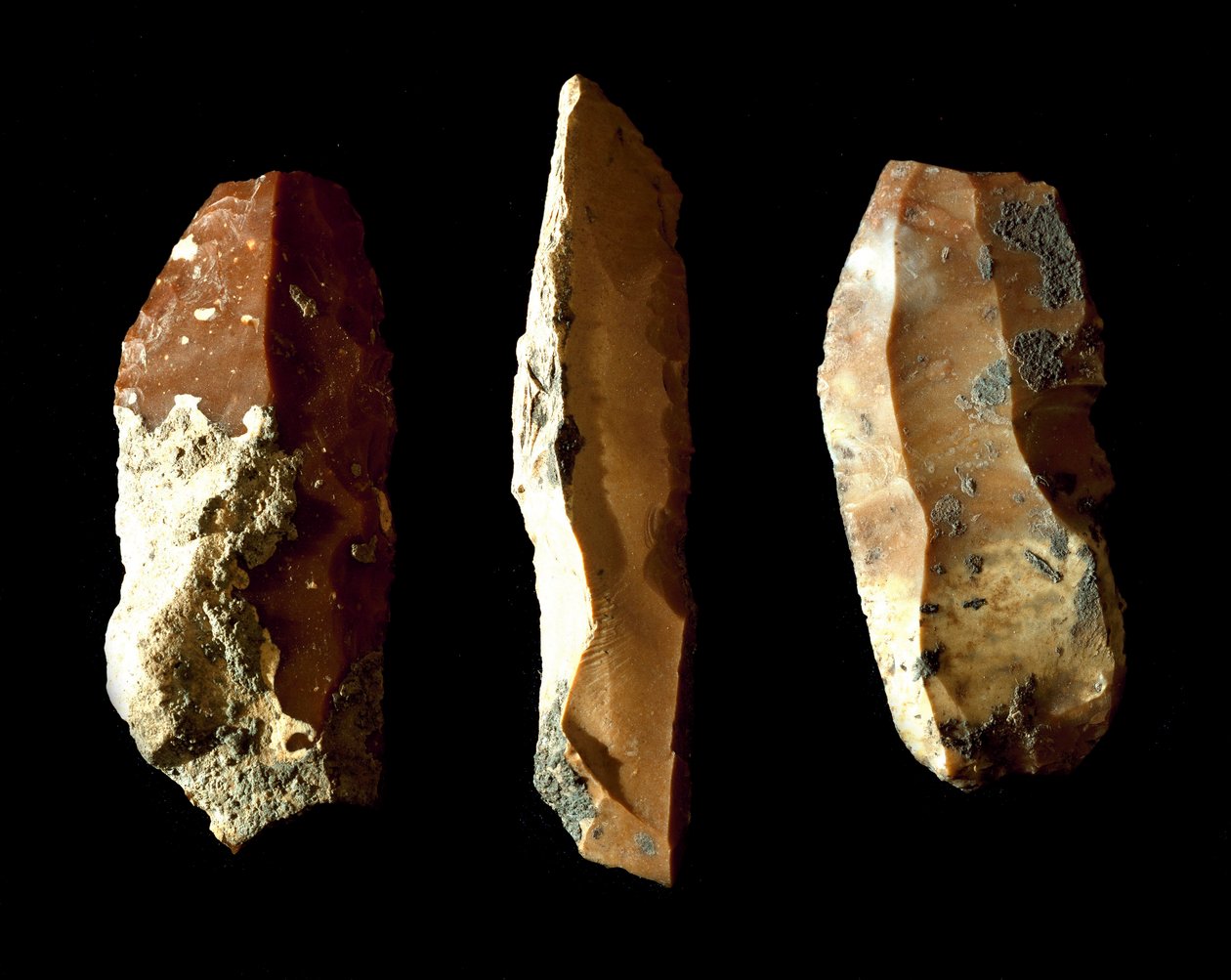 Forhistorie: flintskrapere. Neolitisk var. Fra Umbria. Perugia, Umbrias nasjonale arkeologiske museum av Prehistoric Prehistoric