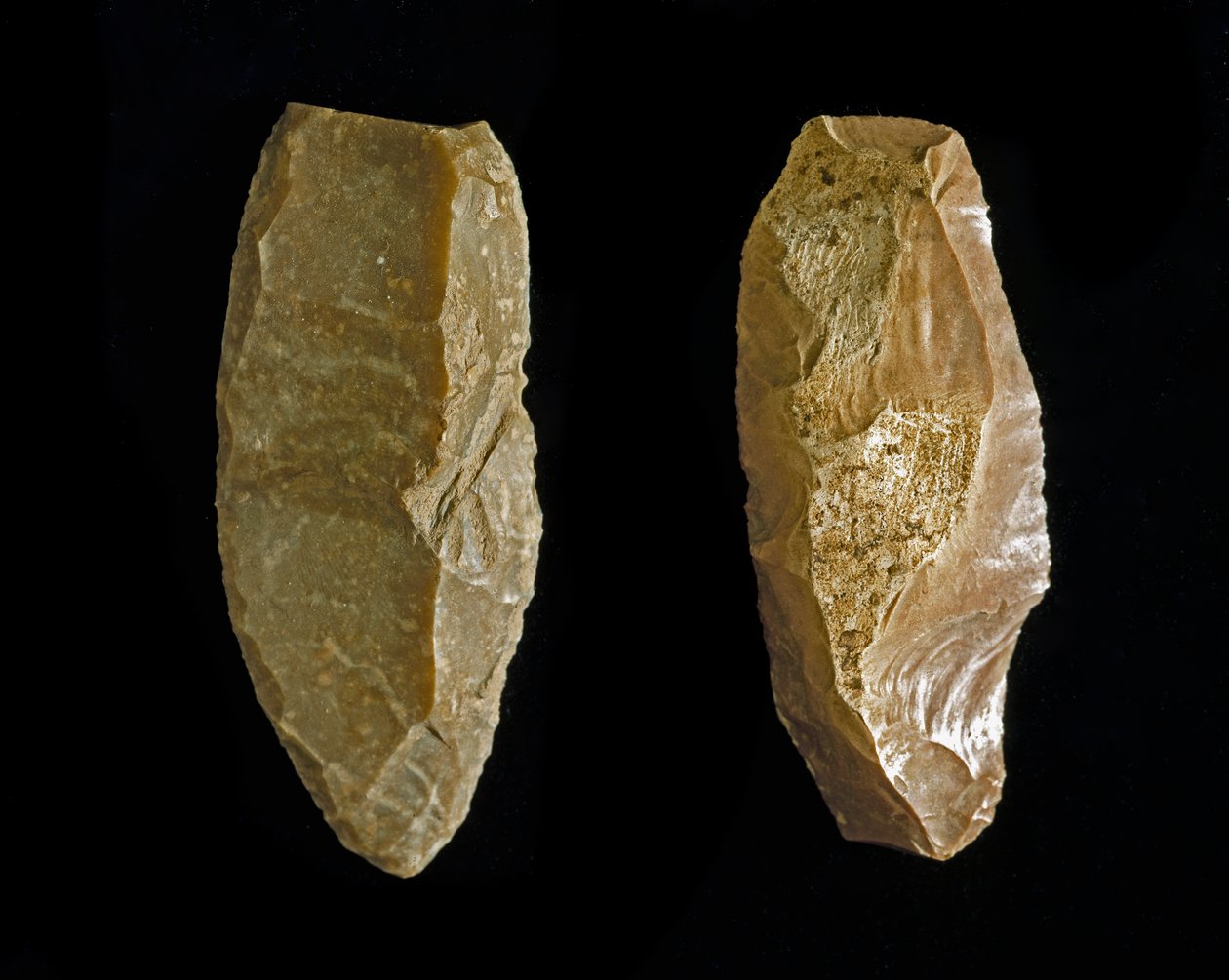 Forhistorie: flintretteretter eller -skrapere fra kalkolitikum. Fra Umbria (Italia). Perugia, Museo Archeologico Nazionale dell