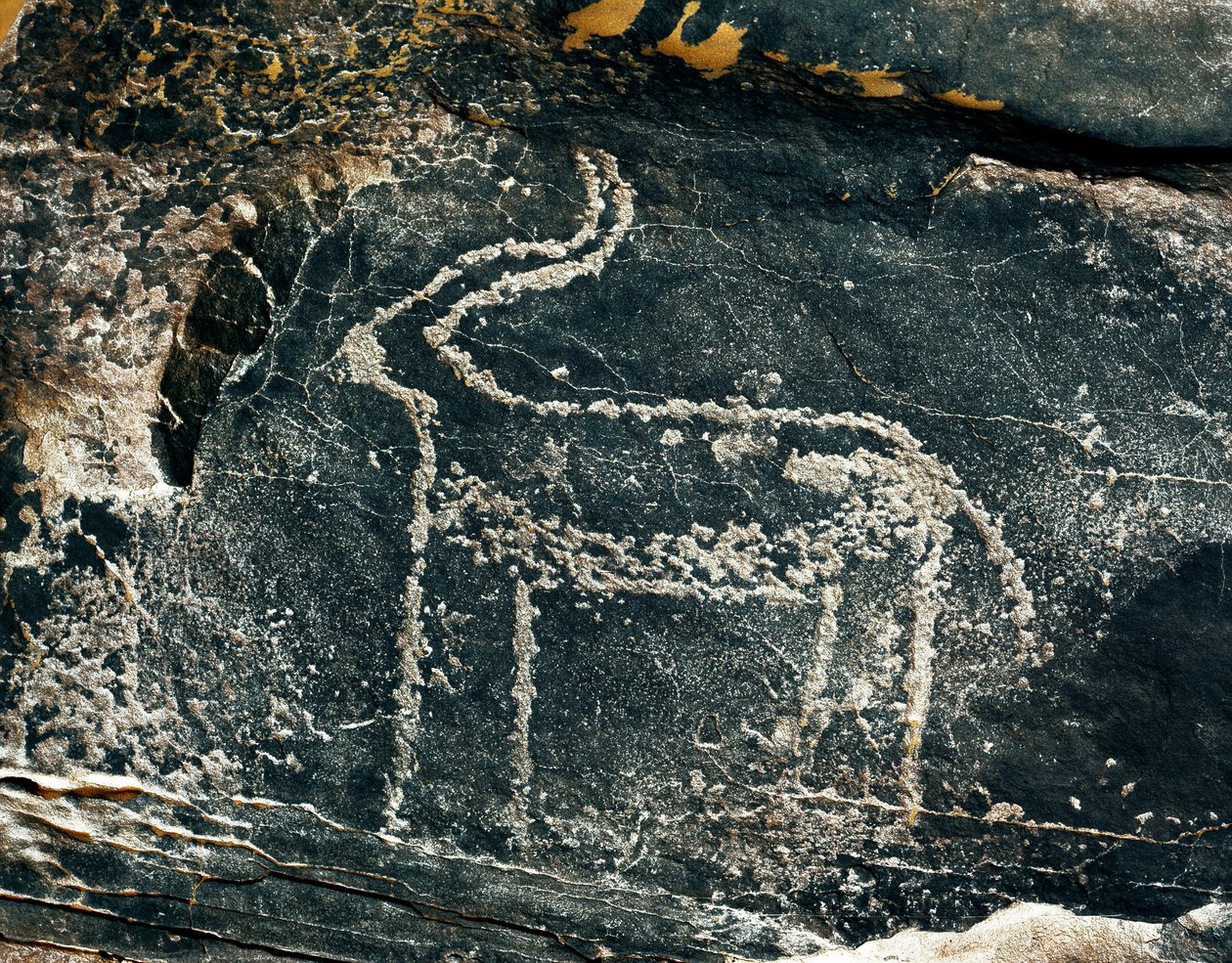 Forhistorie, bergkunst: gravstein av representasjonen av en antilope. Steinalder 5000-2000 f.Kr. Taghit, Haut plateau du Hoggar (Ahaggar), Algerie av Prehistoric Prehistoric