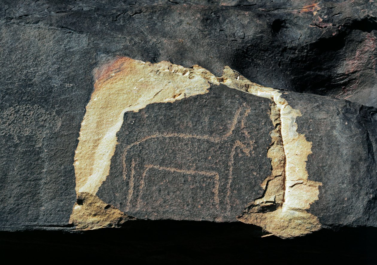 Forhistorie, bergkunst: gravstein av representasjonen av en antilope. Steinalder 5000-2000 f.Kr. Taghit, Haut plateau du Hoggar (Ahaggar), Algerie av Prehistoric Prehistoric