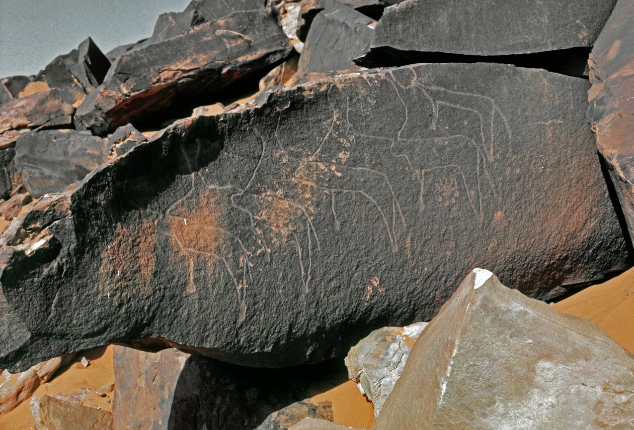 Felskunst: Grabstein mit Darstellung von Rindern. Tazina-Stil. Steinzeit 5000-2000 v. Chr. Taghit, Hochplateau von Hoggar, Algerien von Prehistoric Prehistoric