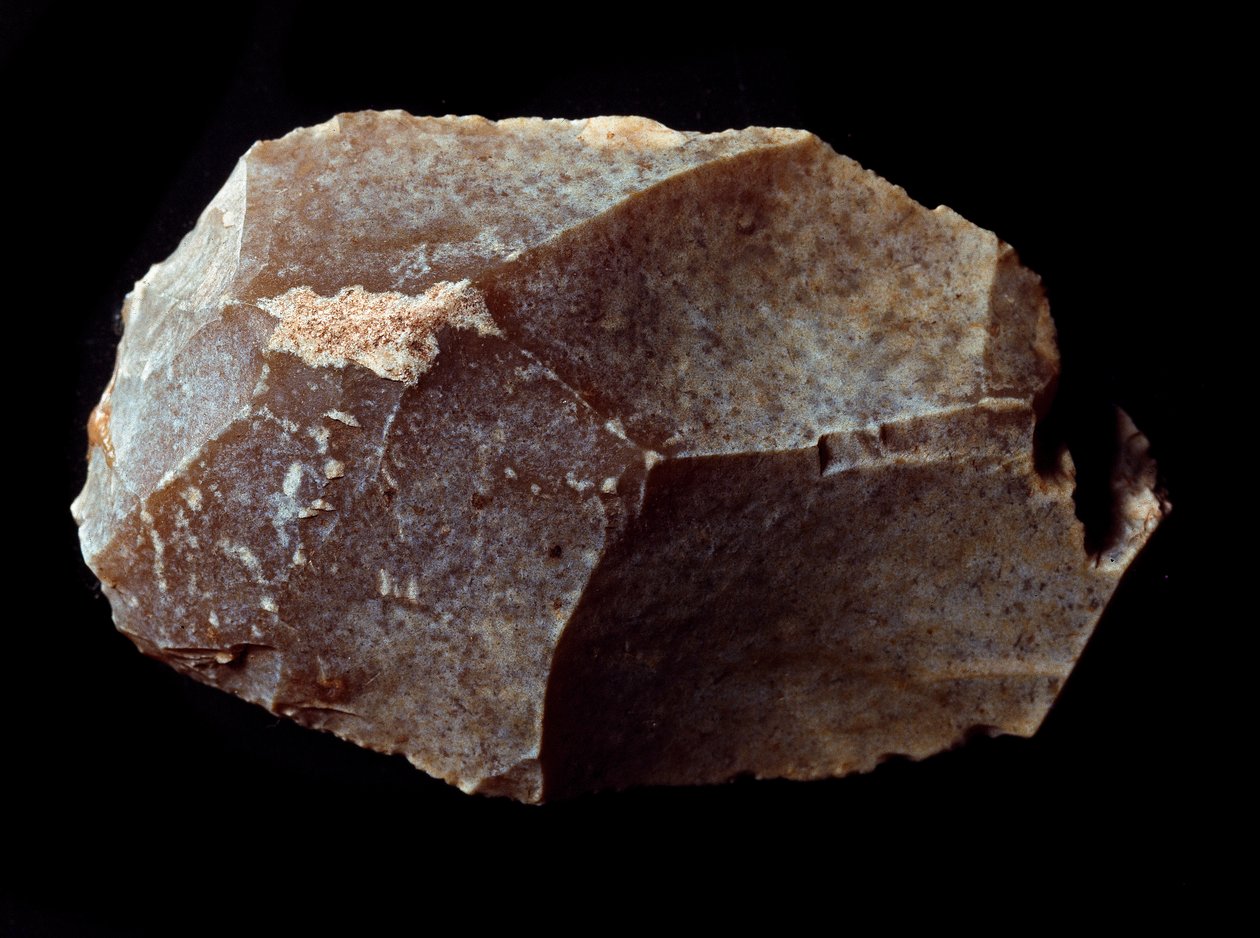 Forhistorie: kuttet på steinskrape. Øvre paleolitikum, Magdalena. Verone, Civic Museum of Natural History, Italia av Prehistoric Prehistoric