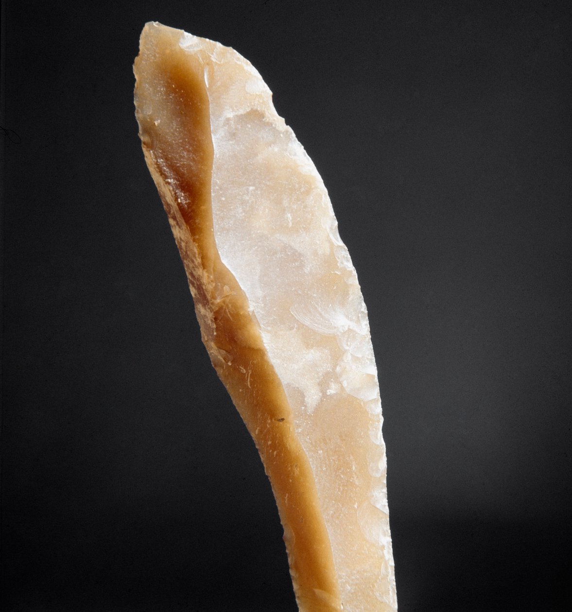 Forhistorie: spissen av flint fra Necropole of Arene Candide (Finale Liguria), Liguria. Øvre paleolitikum, steinalder. Gener, museo di archeologia ligure av Prehistoric Prehistoric