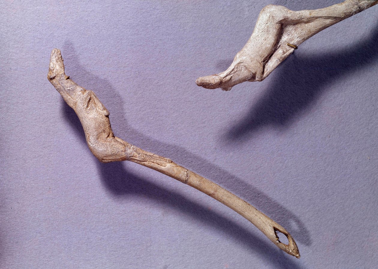 Forhistorie: to thrustere sa "" til den hoppende hesten"" laget i reintre. Periode av mellommagdalena. Saint Germain en Laye, Museum of National Archaeology av Prehistoric Prehistoric
