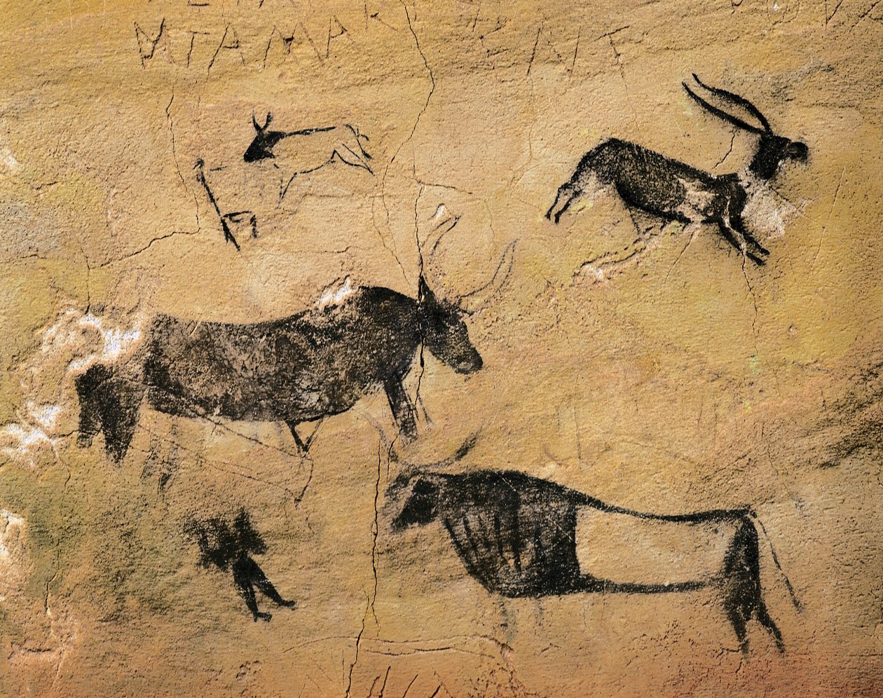 Bergkunst: Hjortevilt og kyr. Fra Spania, El Cogul, Cave dels Moros. Forhistorie, mesolitisk (fresco) av Prehistoric Prehistoric