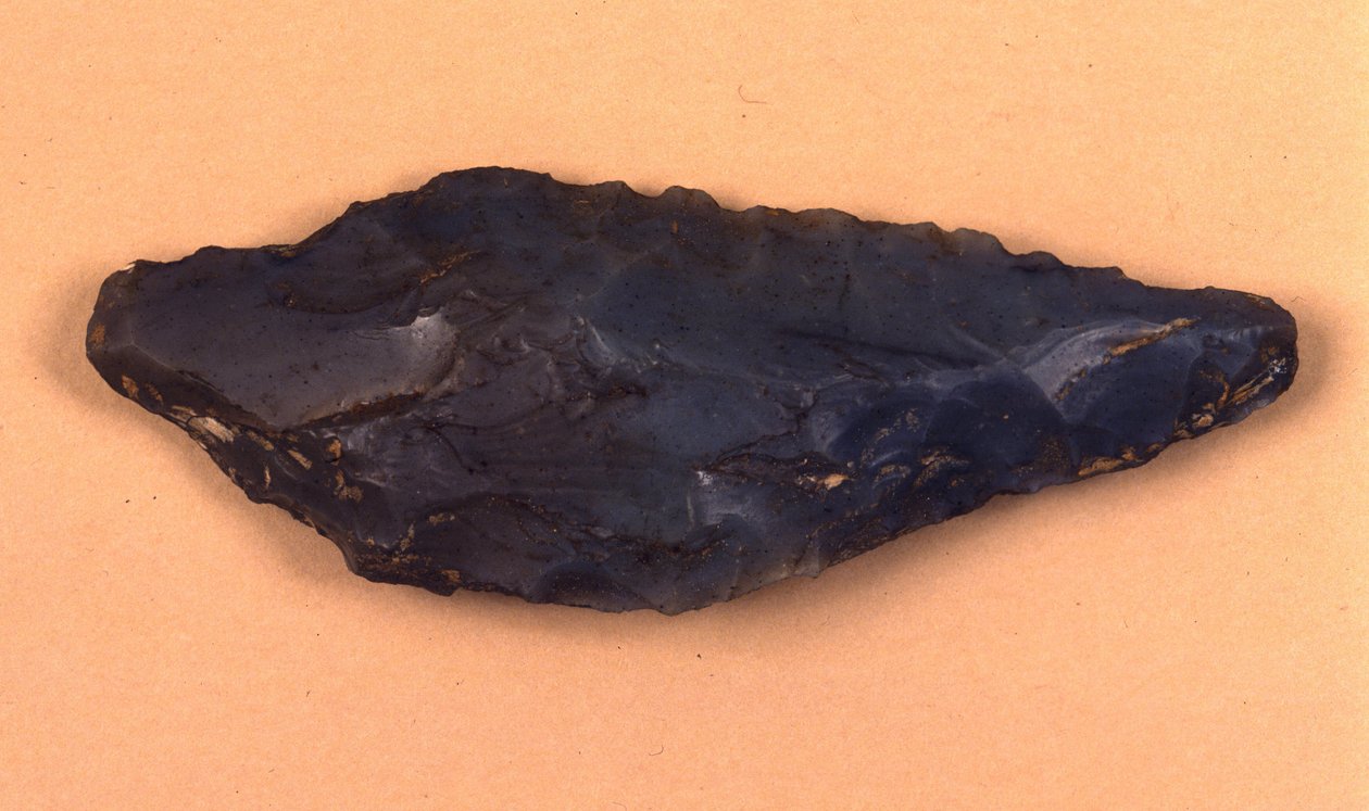 Steinpilspiss oppdaget i Isolino di Varese (Italia). av Prehistoric Prehistoric