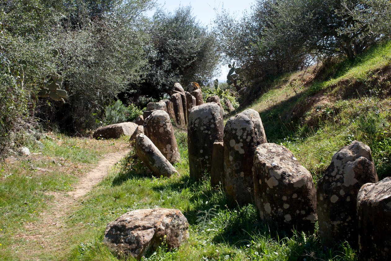 Det arkeologiske stedet til cromlech M Zora, i Sidi El Yamani (Marokko). Neolittisk gravhaug (2000 f.Kr.), omgitt av 167 monolitter. av Prehistoric Prehistoric