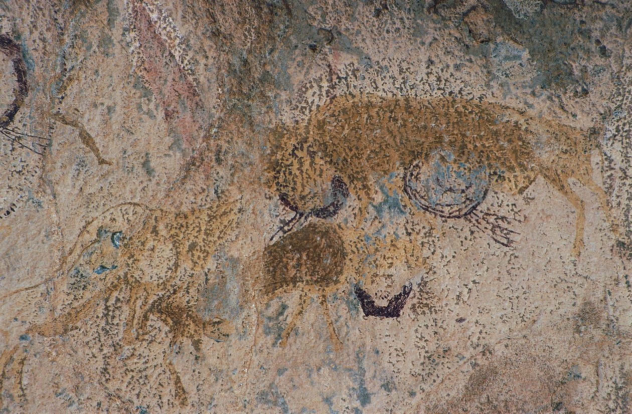 Ville dyr (hulemaleri) av Prehistoric Prehistoric