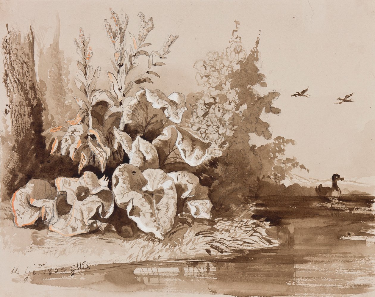 Studie av planter ved en bekk med ender, med tillegg av en instruktør, 1856 (blyant, sepiavask og gouache på papir) av Prince Gaetano Maria Federico di Borbone