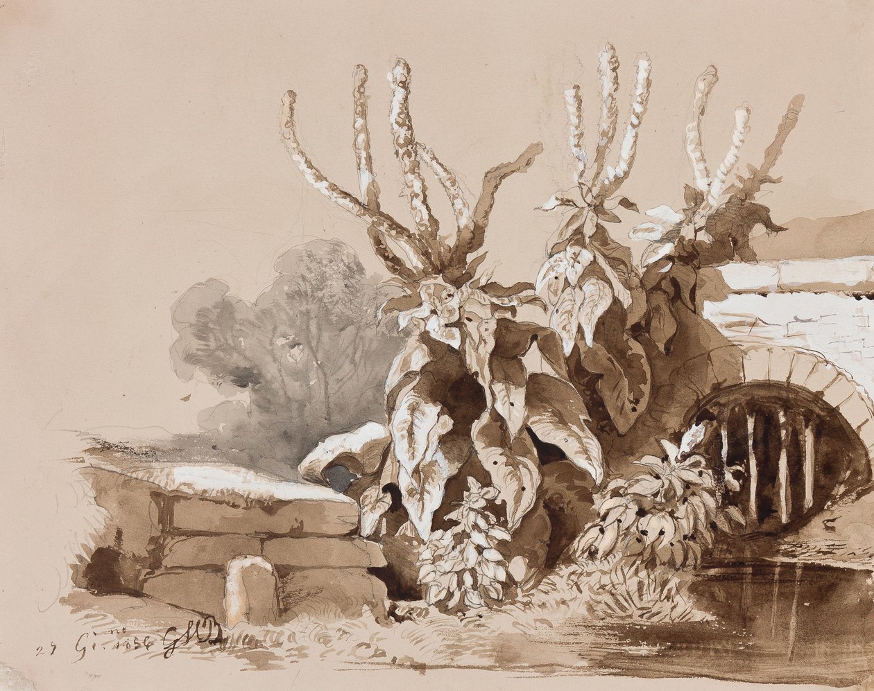 Studie av planter ved en grøft, med tillegg av en instruktør, 1856 (blyant, sepiavask og gouache på papir) av Prince Gaetano Maria Federico di Borbone