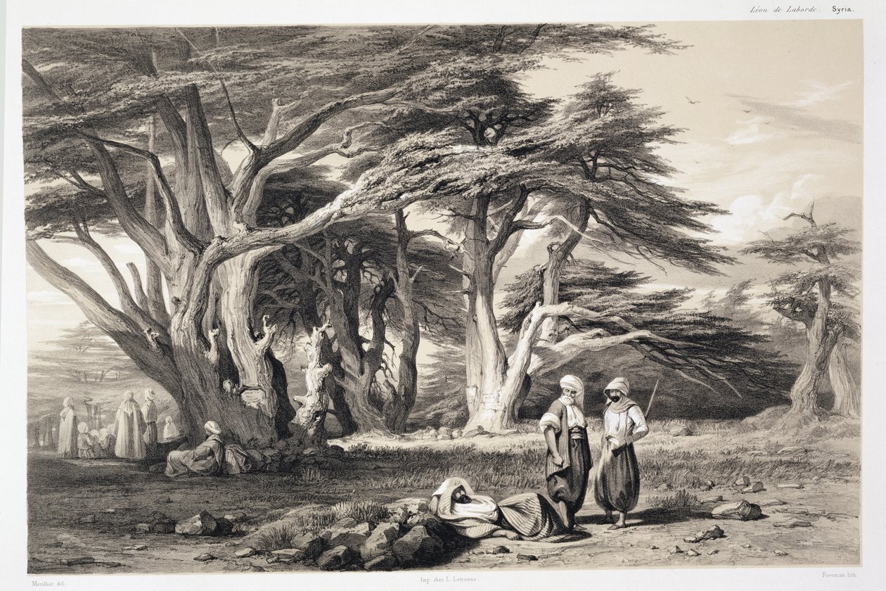 The Cedars of Lebanon, gravert av Freeman (sepiatrykk) av Prosper Georges Antoine Marilhat