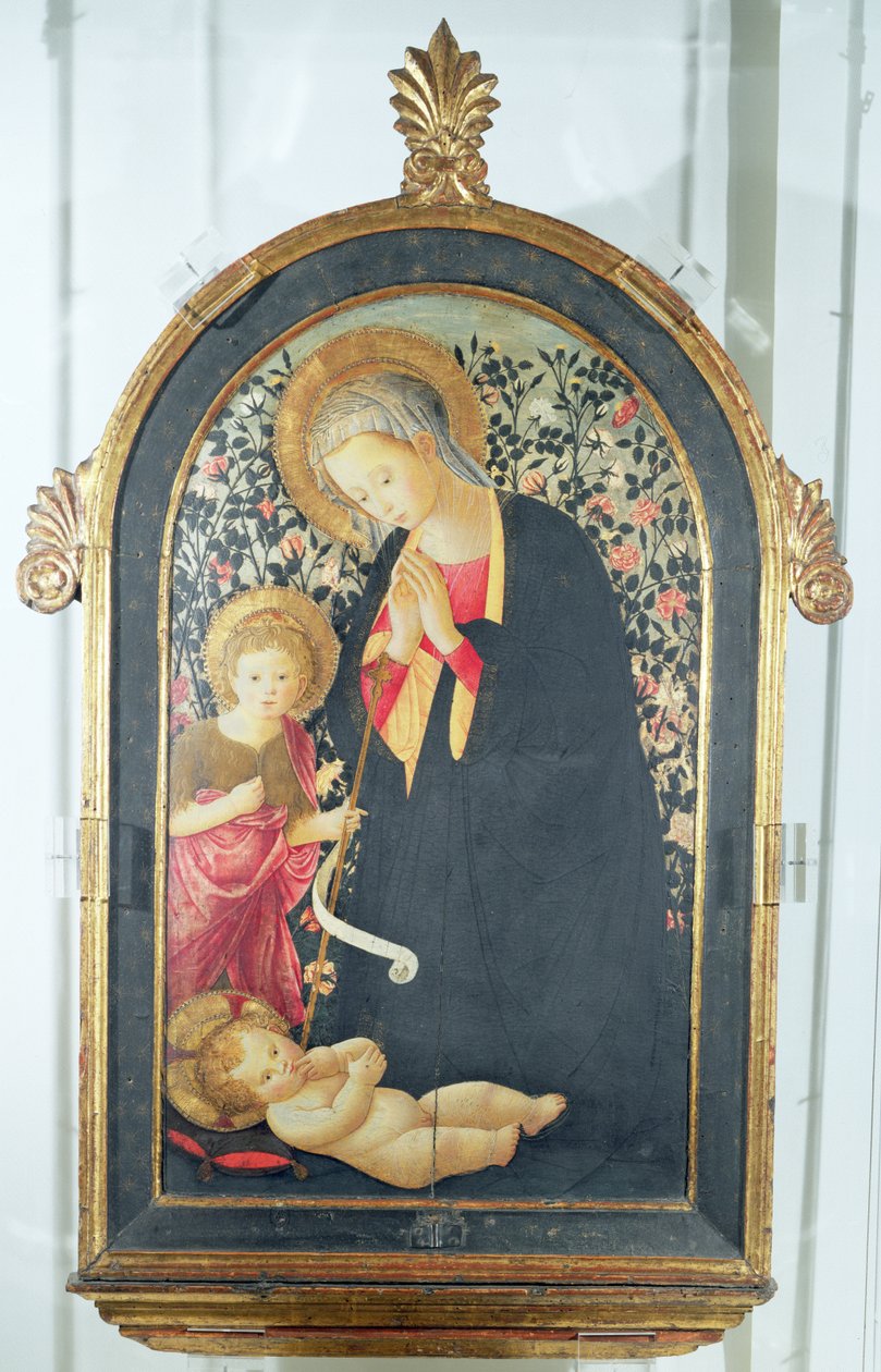 Tilbedelse av barnet med den unge døperen Johannes (panel) av Pier Francesco Fiorentino