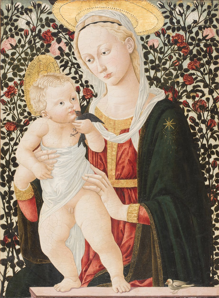 Madonna of the Roses, ca. 1485-90 (tempera) av Pier Francesco Fiorentino
