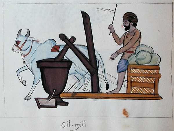 Oljemølle, ca. 1890 (akvarell på papir) av Punjabi School