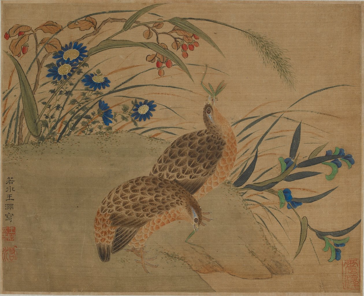 To vaktel spiser gresshopper under blomster av Qing Dynasty Chinese School