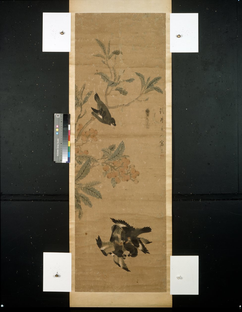 Fugler og grein av Qing Dynasty Chinese School